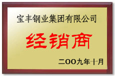 文县宝丰经销商